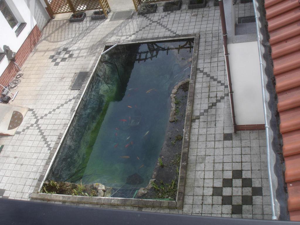 Harzer Ferienpension Timmenrode Ngoại thất bức ảnh
